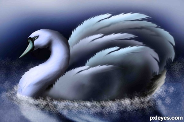 Creation of Blue swan: Step 14